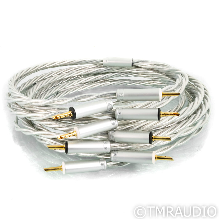 Ansuz Speakz X2 Speaker Cables; 4m Pair