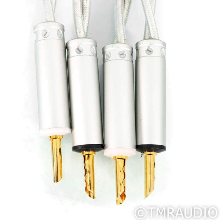 Ansuz Speakz X2 Speaker Cables; 4m Pair