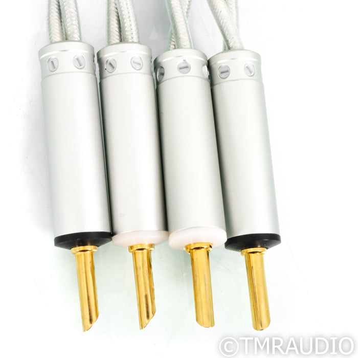 Ansuz Speakz X2 Speaker Cables; 4m Pair