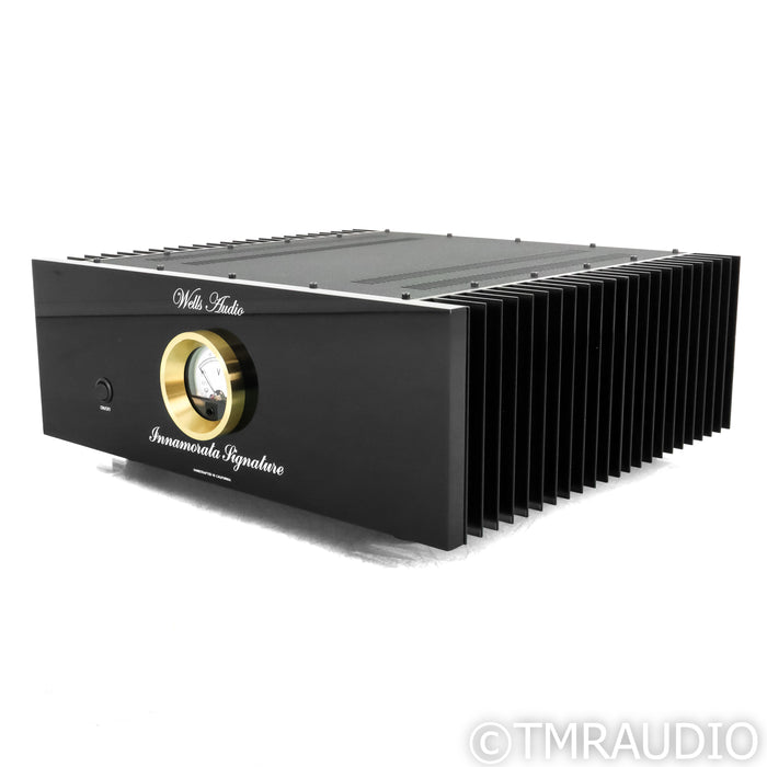 Wells Audio Innamorata Signature Stereo Power Amplifier