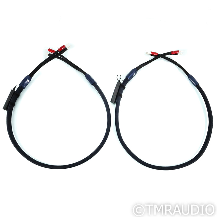 AudioQuest ThunderBird ZERO Speaker Cables; 5ft Pair