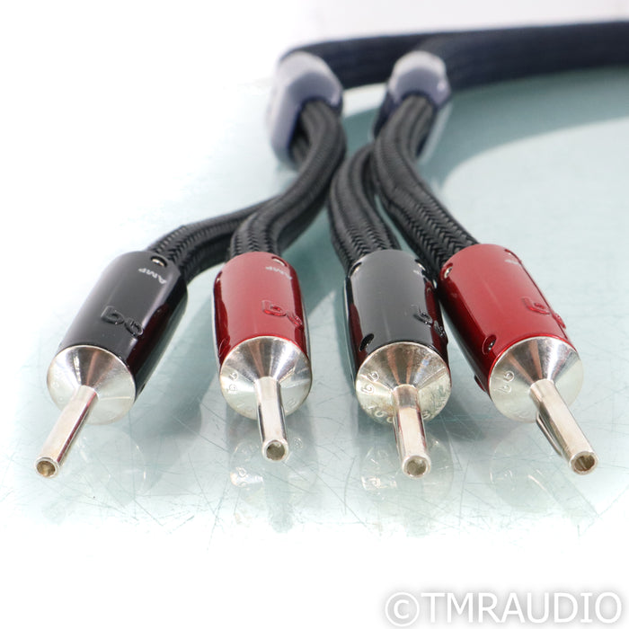 AudioQuest ThunderBird ZERO Speaker Cables; 5ft Pair