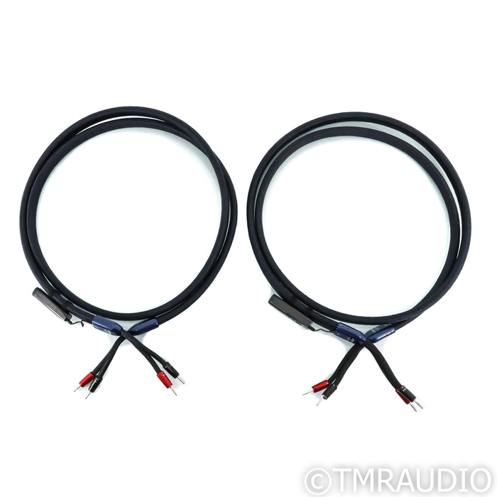 AudioQuest ThunderBird ZERO Speaker Cables; 10ft Pair
