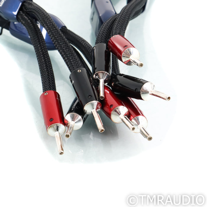 AudioQuest ThunderBird ZERO Speaker Cables; 10ft Pair