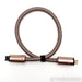 Core Power Technologies Valiant Gold Power Cable; 1m AC Cord