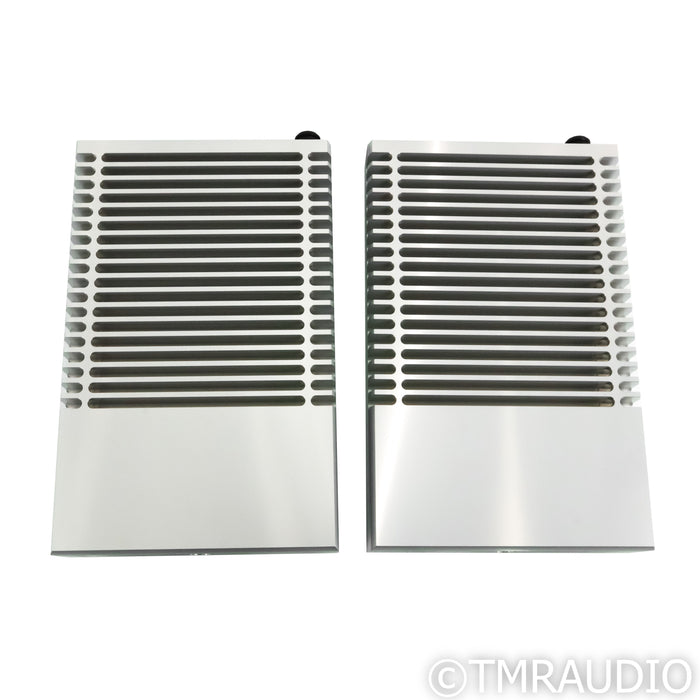 Ayre Acoustics MX-R Twenty Monoblock Power Amplifiers; Pair