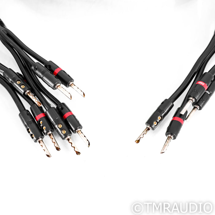 AudioQuest Rocket 88 Bi-Wire Speaker Cables; 12ft Pair