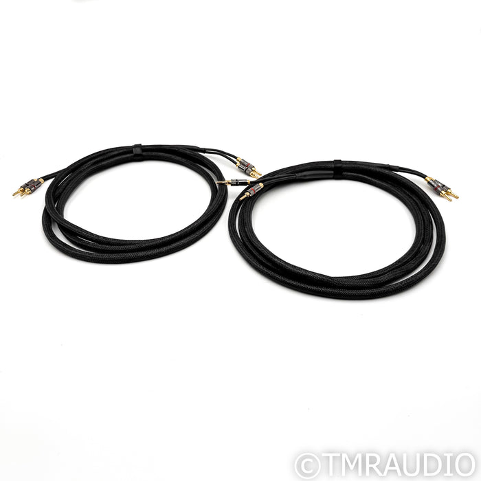 Iconoclast BAV Speaker Cables; 10ft Pair