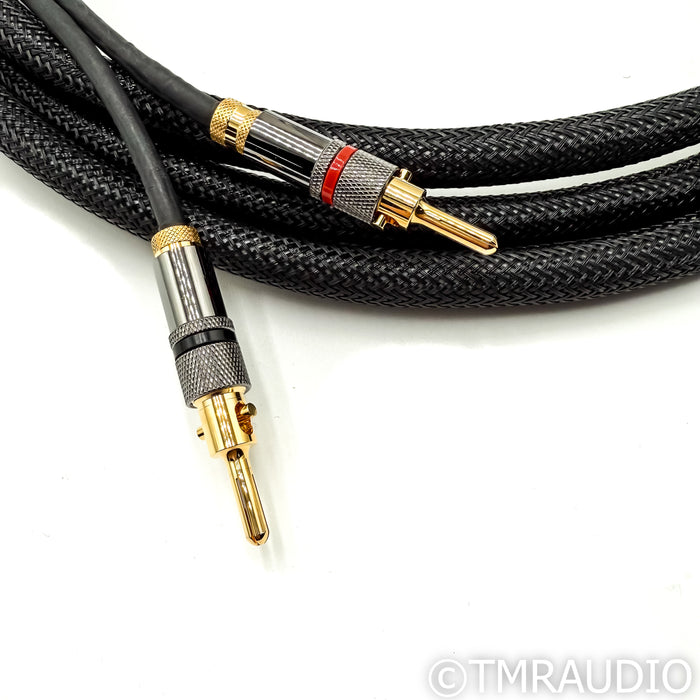 Iconoclast BAV Speaker Cables; 10ft Pair