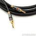 Iconoclast BAV Speaker Cables; 10ft Pair