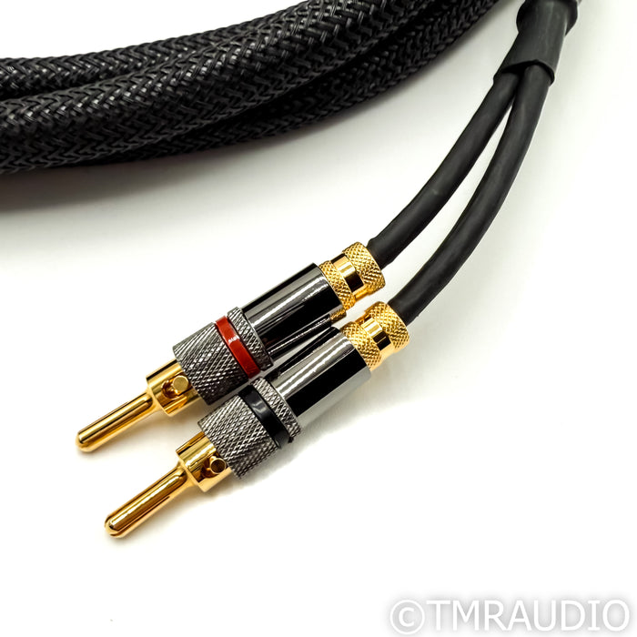 Iconoclast BAV Speaker Cables; 10ft Pair