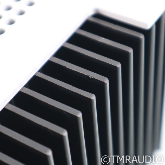 Schiit Audio Aegir Stereo Power Amplifier