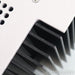 Schiit Audio Aegir Stereo Power Amplifier