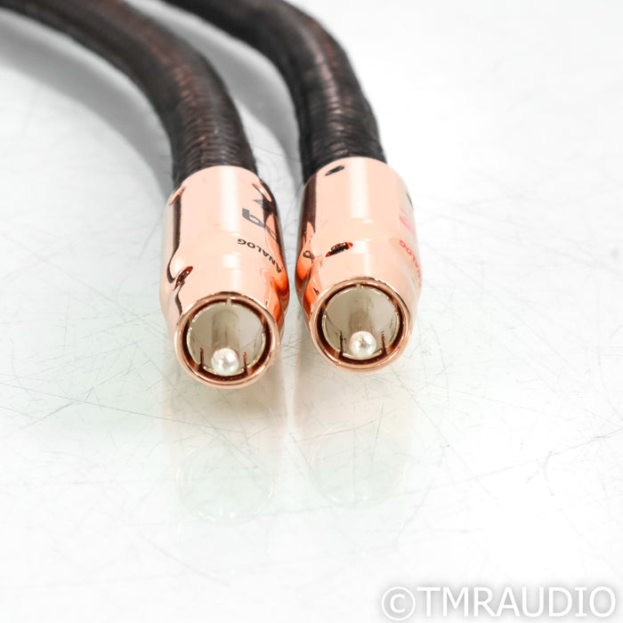 AudioQuest Pegasus RCA Cables; 1m Pair Interconnects
