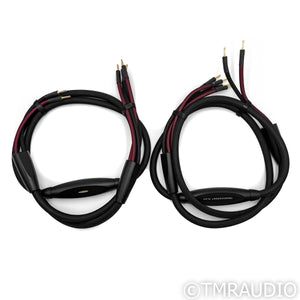 Transparent Audio Plus G6 Speaker Cables; 2.4m Pair