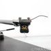 VPI Traveler 2 Belt Drive Turntable; Goldring 1022GX MM Cartridge
