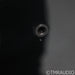 REL Acoustics S/812 12" Powered Subwoofer; Piano Black