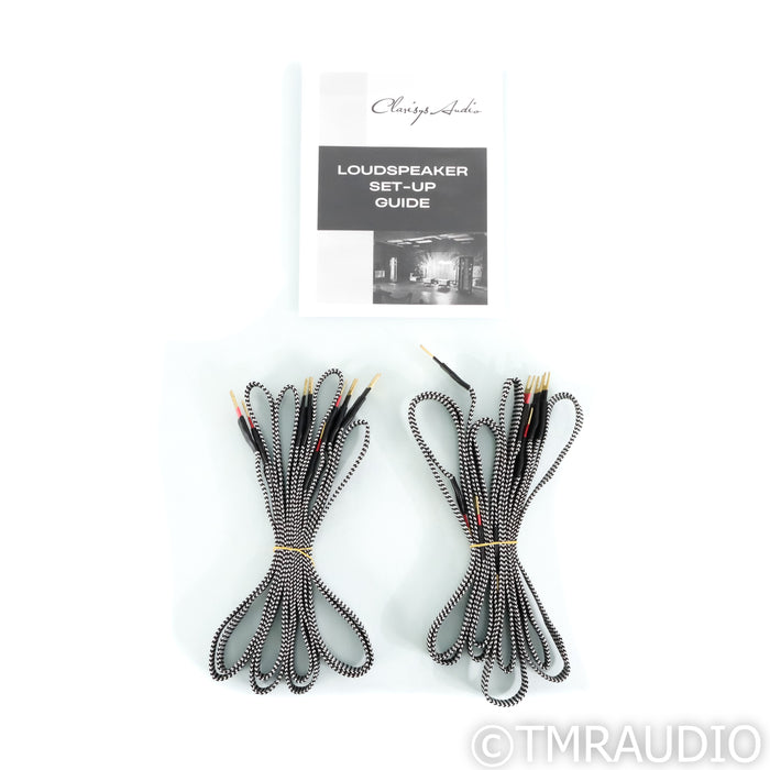 Clarisys Audio Studio Plus Planar Magnetic Floorstanding Speakers; Black Pair