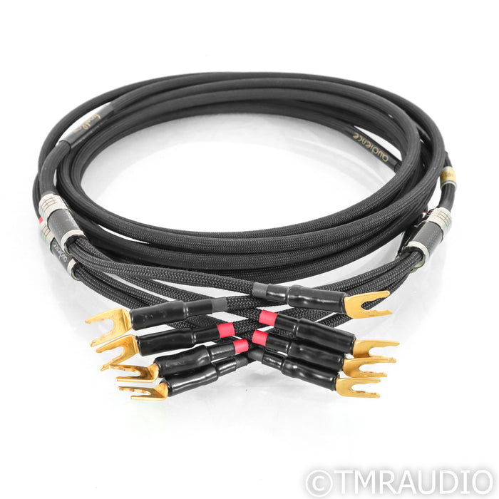 Audience frontRow Speaker Cables; 3m Pair