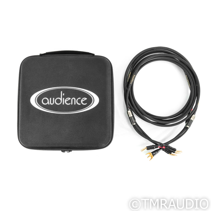 Audience frontRow Speaker Cables; 3m Pair