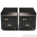 Clayton Audio M300 Monoblock Power Amplifiers; Pair