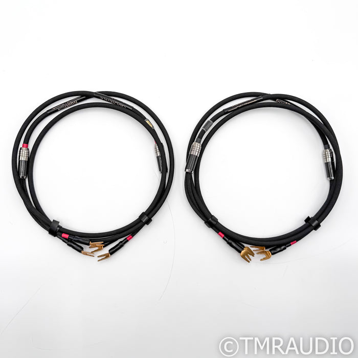 Audience frontRow Speaker Cables; 2m Pair