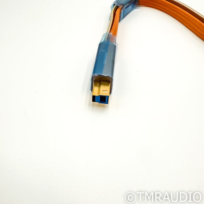 iFi Audio Gemini 3.0 Dual-Head USB Cable; 0.7m Digital Interconnect