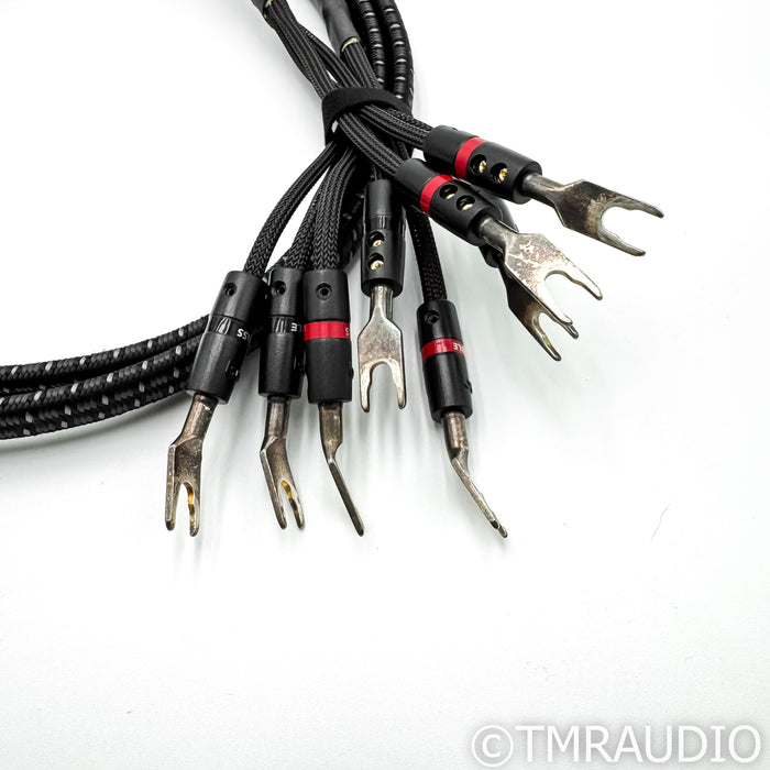 AudioQuest Rocket 44 Bi-Wire Speaker Cables; 1.5m Pair w/ Spades