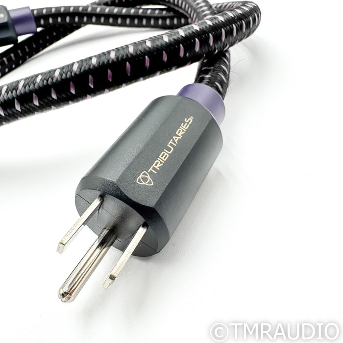 Tributaries Model 6P-C7 Series 6 C7 3 ft. AC Cord / Power Cable