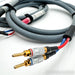 Chang Lightspeed CLS Speaker Link 1 Speaker Cables, 8ft Pair