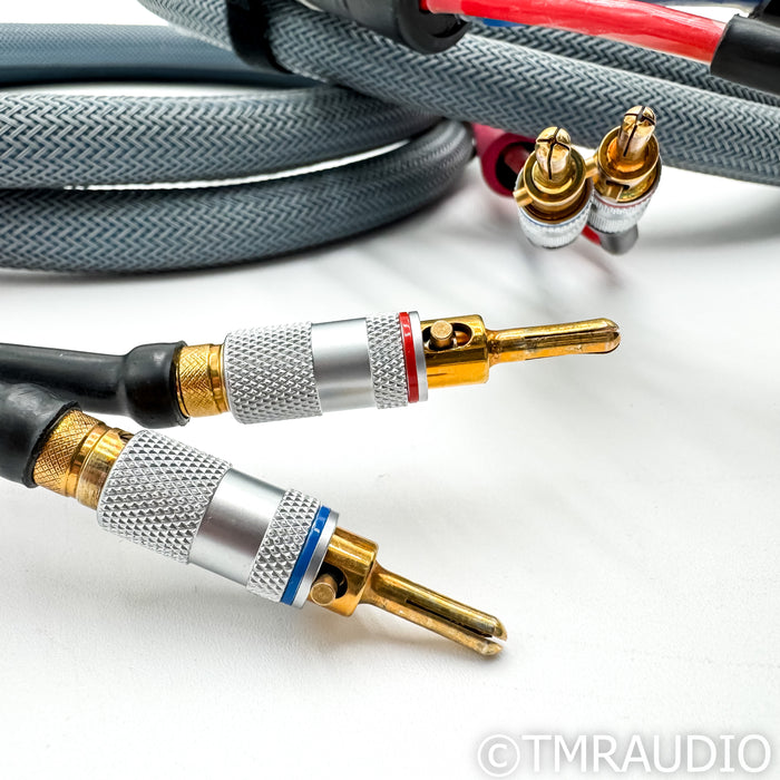 Chang Lightspeed CLS Speaker Link 1 Speaker Cables, 8ft Pair
