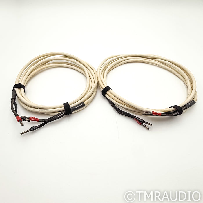 AudioQuest CV-4 Speaker Cables; 11.5ft Pair