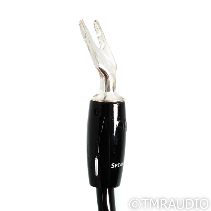 AudioQuest Rocket 88 Speaker Cables; 10ft Pair