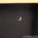 Volti Audio Razz V2 Floorstanding Speakers; Natural Ash Pair