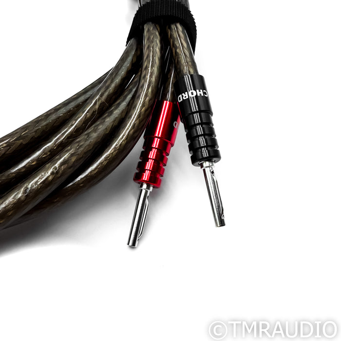 Chord Company Epic XL Speaker Cables; 2.5m Pair