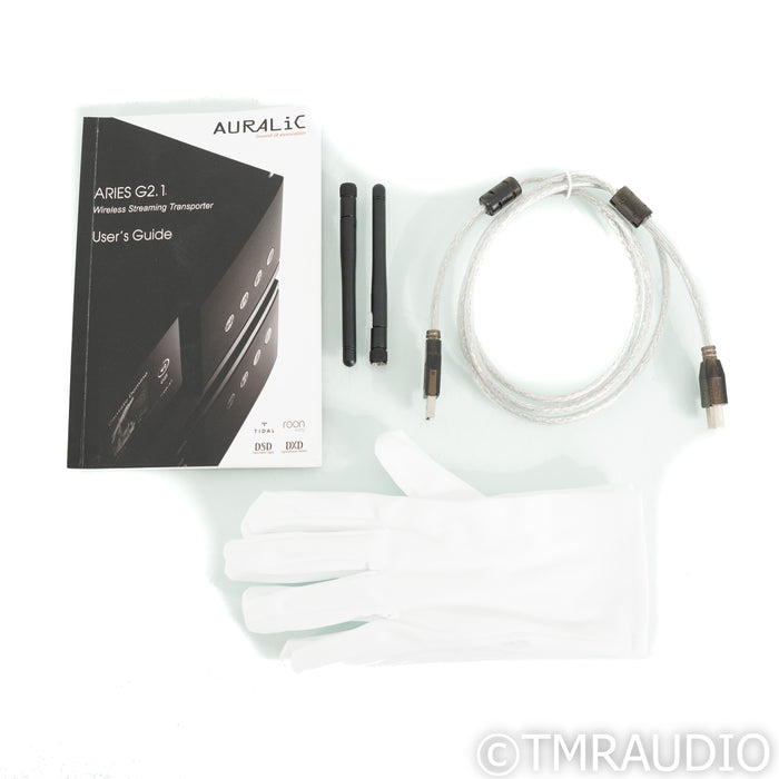 Auralic Aries G2.1 Wireless Music Streamer