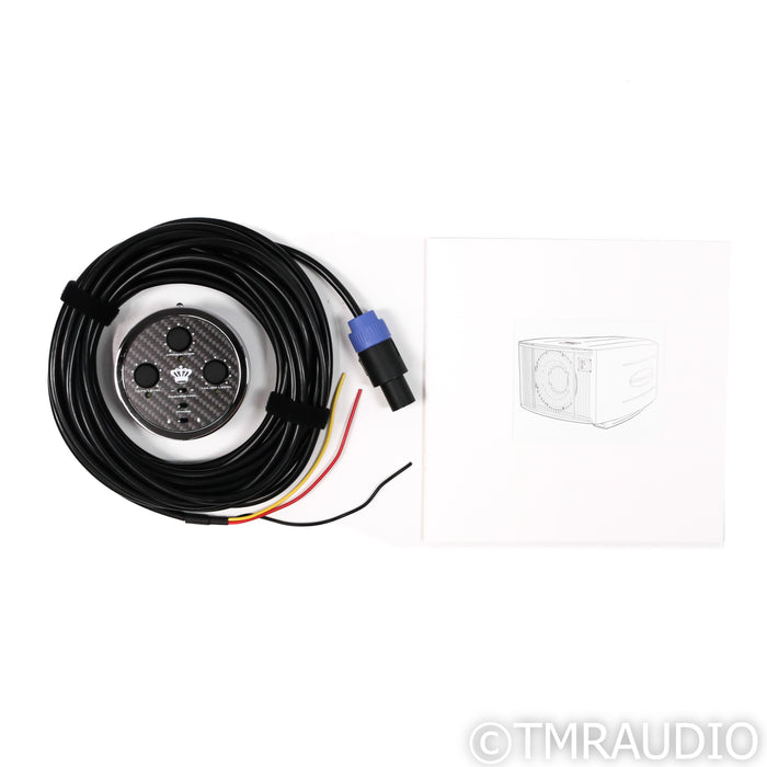 REL Acoustics No. 31 Reference 12" Powered Subwoofer; Piano Black