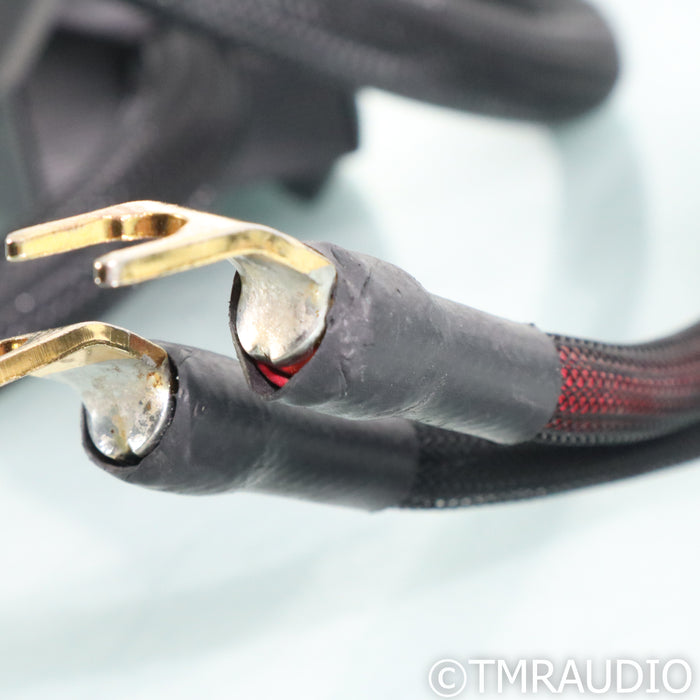 Transparent Audio Ultra G5 Speaker Cables; 12ft Pair