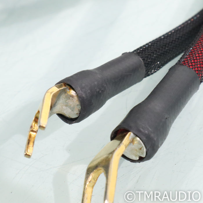 Transparent Audio Ultra G5 Speaker Cables; 12ft Pair