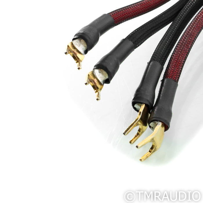 Transparent Audio Ultra G5 Speaker Cables; 12ft Pair