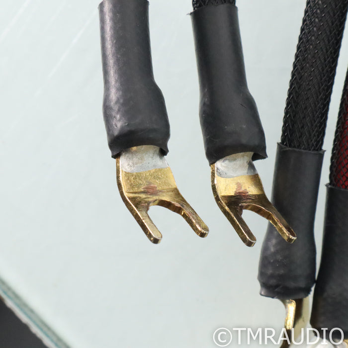 Transparent Audio Ultra G5 Speaker Cables; 12ft Pair