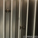 Parasound Halo JC 1 Monoblock Power Amplifier; Single