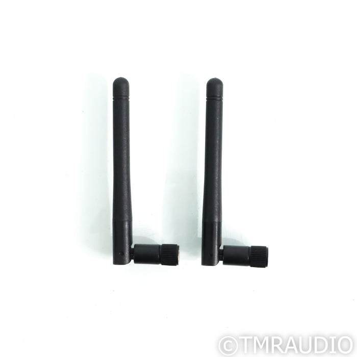 Auralic Altair G1 Wireless Network Streamer