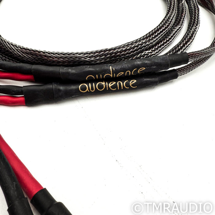 Audience OHNO II Bi-Wire Speaker Cables; 8ft Pair