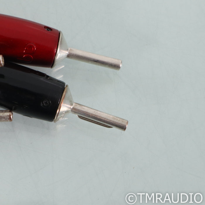AudioQuest Rocket 44 Bi-Wire Speaker Cables; 8ft Pair
