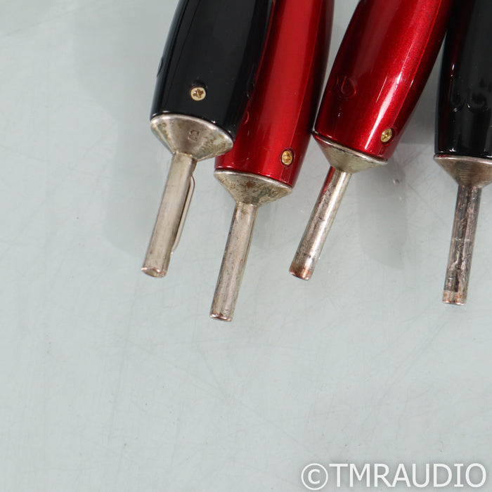 AudioQuest Robin Hood ZERO Speaker Cables; 10ft Pair; 72v DBS