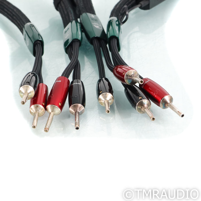 AudioQuest Robin Hood ZERO Speaker Cables; 10ft Pair; 72v DBS