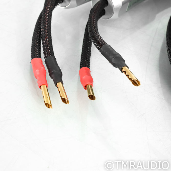 Townshend Audio F1 Fractal Speaker Cables; 3m Pair