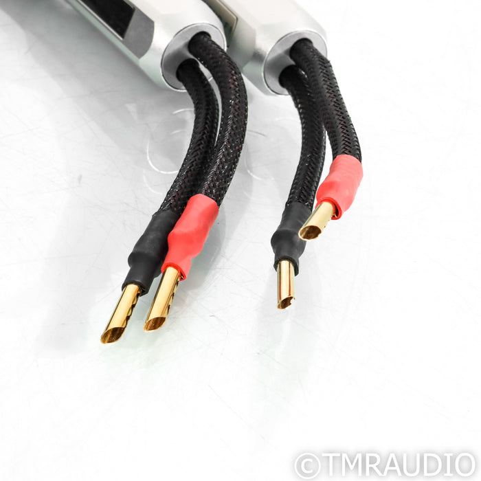Townshend Audio F1 Fractal Speaker Cables; 3m Pair