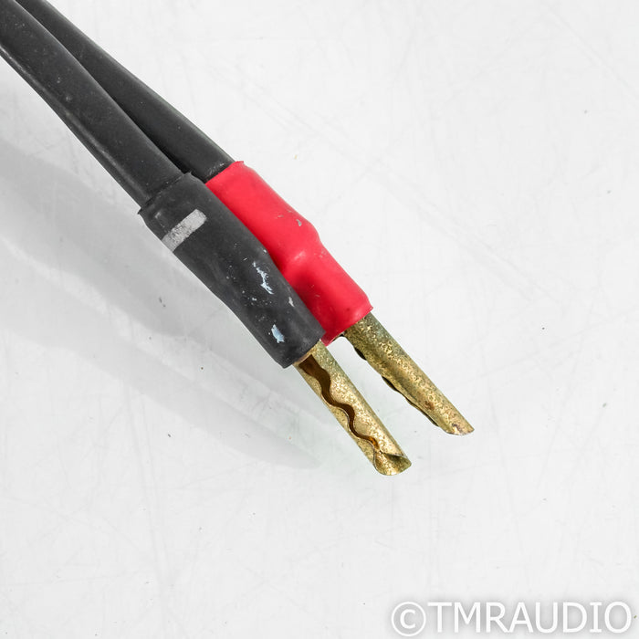 Synergistic Research Element Tungsten W Speaker Cables; 8ft Pair
